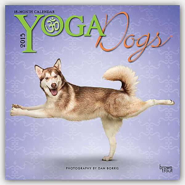 Yoga Dogs 18-Month Calendar