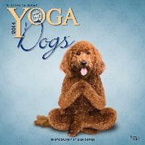 Yoga Dogs 2014 Wall Calendar