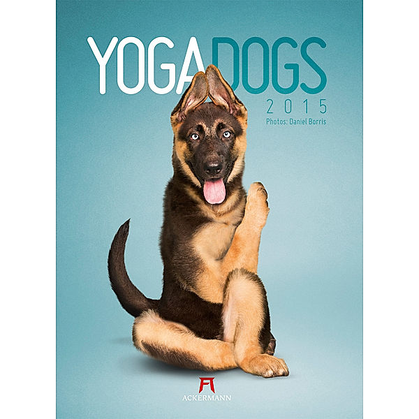 Yoga Dogs 2015, Daniel Borris