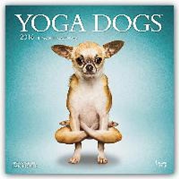 Yoga Dogs 2016