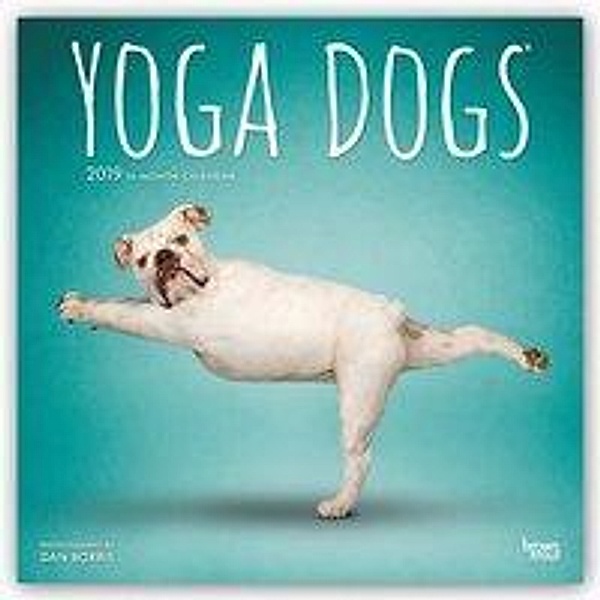 Yoga Dogs 2019 Square Wall Calendar
