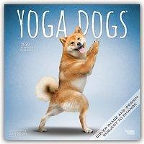 Yoga Dogs 2020 - 16-Monatskalender, BrownTrout Publisher