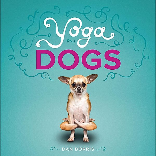 Yoga Dogs, Dan Borris