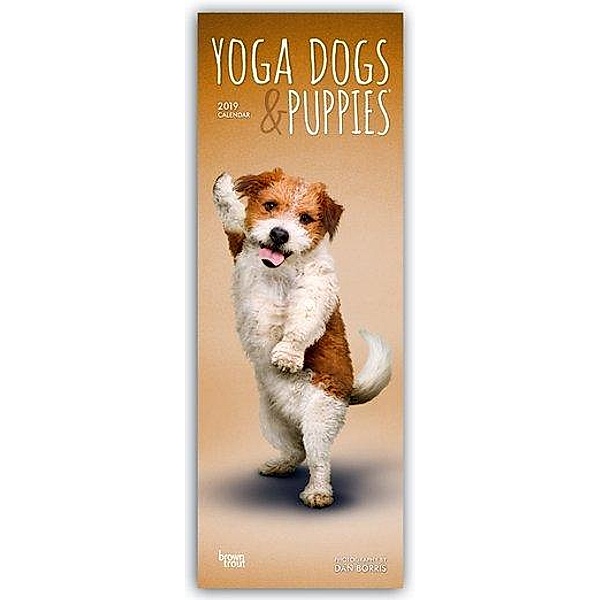 Yoga Dogs & Puppies 2019, BrownTrout Publisher