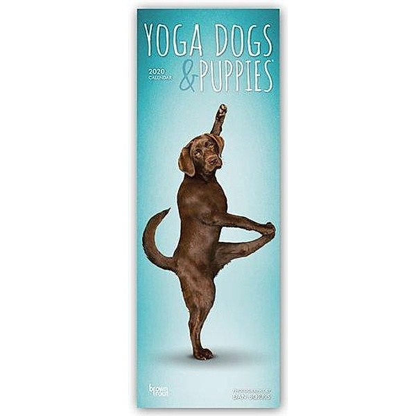 Yoga Dogs & Puppies 2020, BrownTrout Publishers