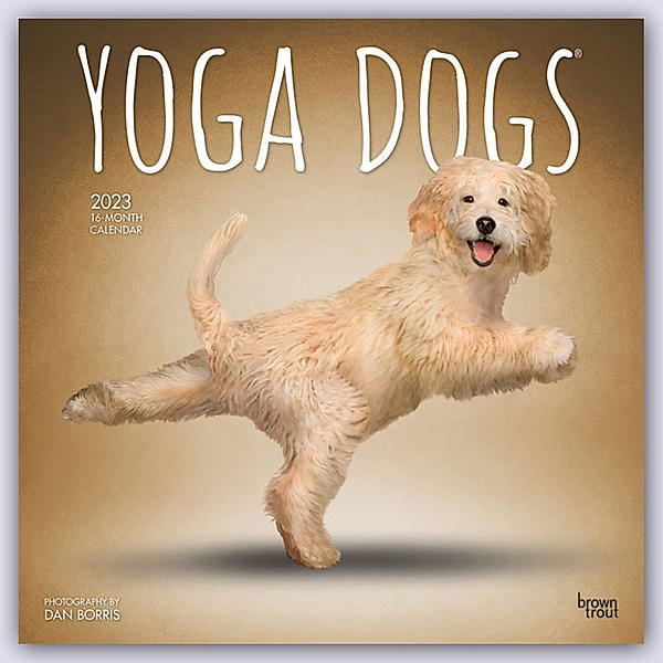Yoga Dogs - Yoga-Hunde 2023 - 16-Monatskalender, BrownTrout Publisher