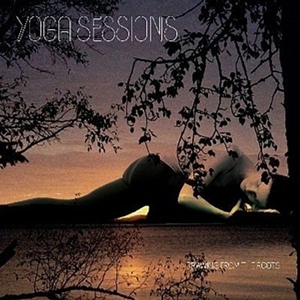 Yoga Sessions - Compiled By DJ Dixon, Diverse Interpreten