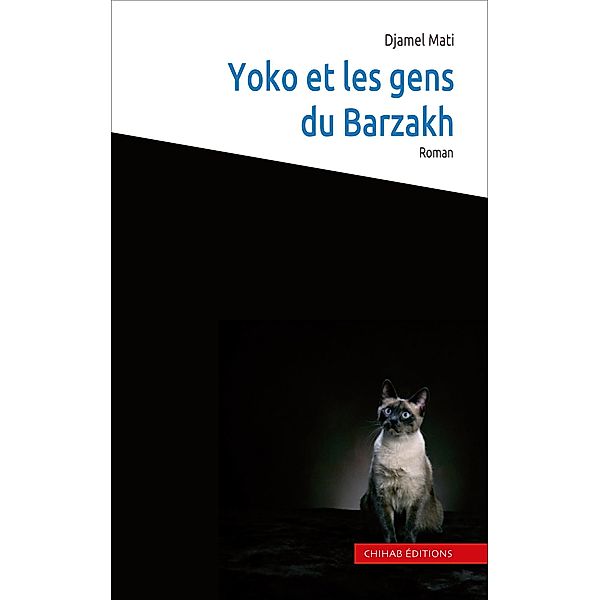 Yoko et les gens du Barzakh, Djamel Mati