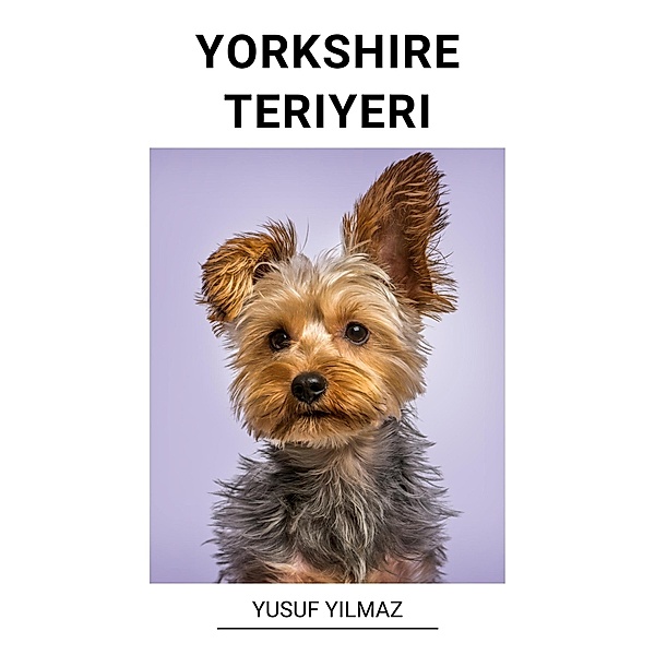 Yorkshire Teriyeri, Yusuf Yilmaz