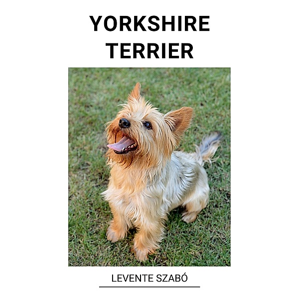 Yorkshire Terrier, Levente Szabó