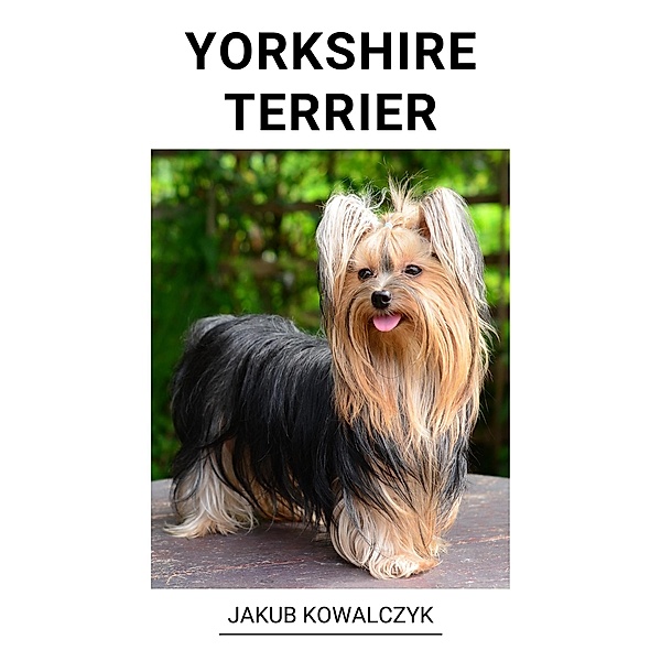 Yorkshire Terrier, Jakub Kowalczyk