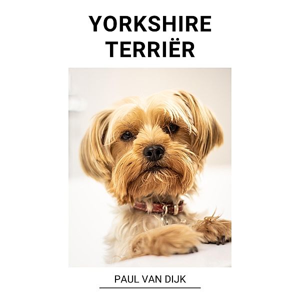 Yorkshire Terriër, Paul van Dijk