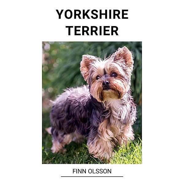 Yorkshire Terrier, Finn Olsson