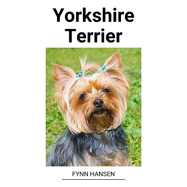 Yorkshire Terrier, Fynn Hansen