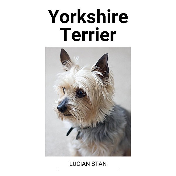 Yorkshire Terrier, Lucian Stan