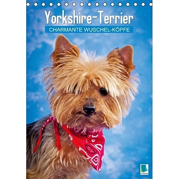 Yorkshire-Terrier: Charmante Wuschel-Köpfe (Tischkalender 2015 DIN A5 hoch), Calvendo
