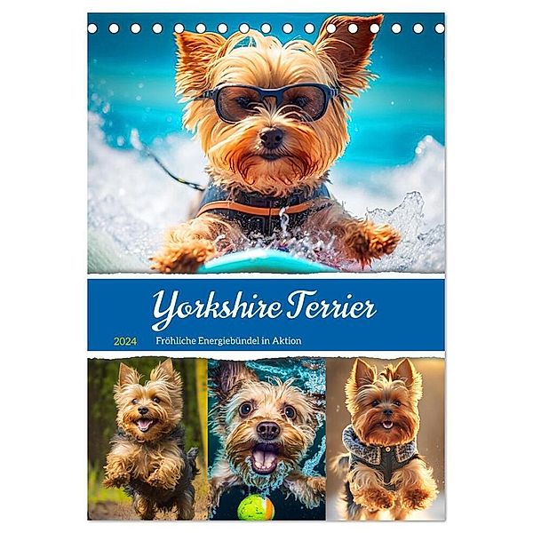 Yorkshire Terrier. Fröhliche Energiebündel in Aktion (Tischkalender 2024 DIN A5 hoch), CALVENDO Monatskalender, Rose Hurley