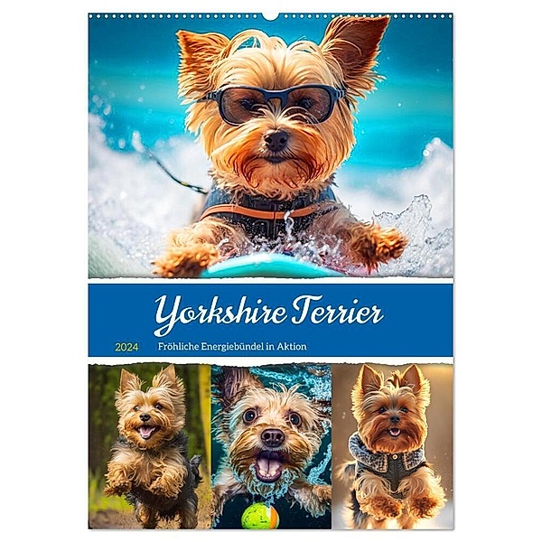 Yorkshire Terrier. Fröhliche Energiebündel in Aktion (Wandkalender 2024 DIN A2 hoch), CALVENDO Monatskalender, Rose Hurley