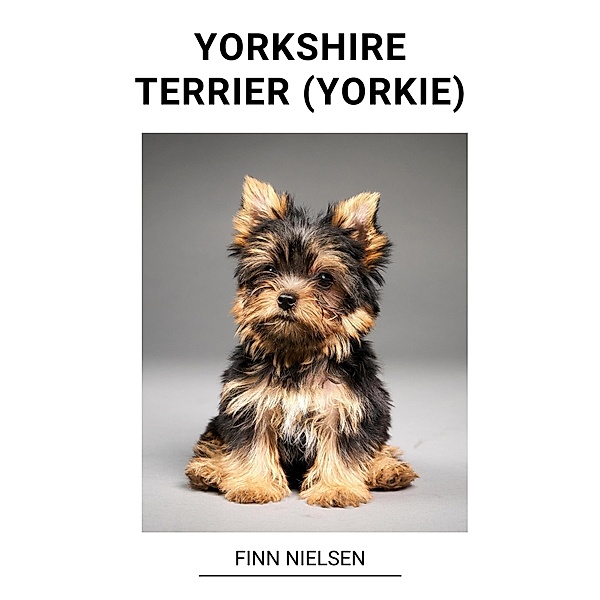 Yorkshire Terrier (Yorkie), Finn Nielsen
