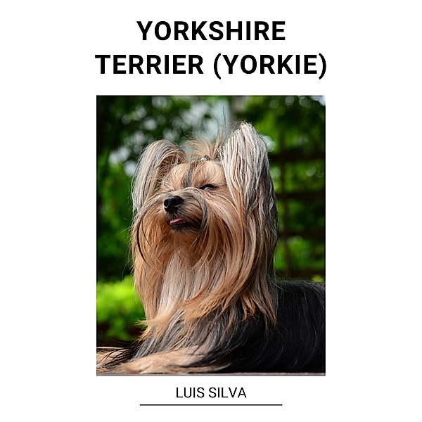 Yorkshire Terrier (Yorkie), Luis Silva