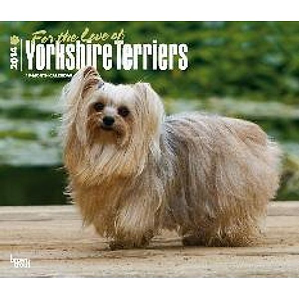 Yorkshire Terriers - For the Love of 2014 - Yorkies