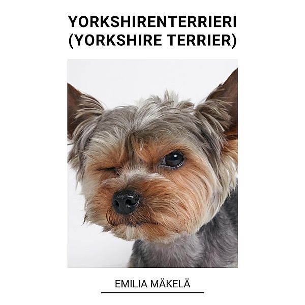 Yorkshiren Terrieri (Yorkshire Terrier), Emilia Mäkelä