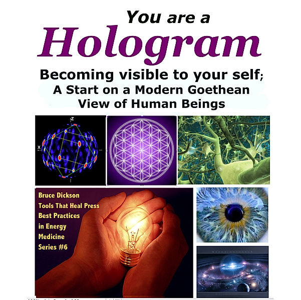 You Are a Hologram Becoming Visible to Your Self; A Start on a Modern Goethean View of Human Beings, Bruce Dickson