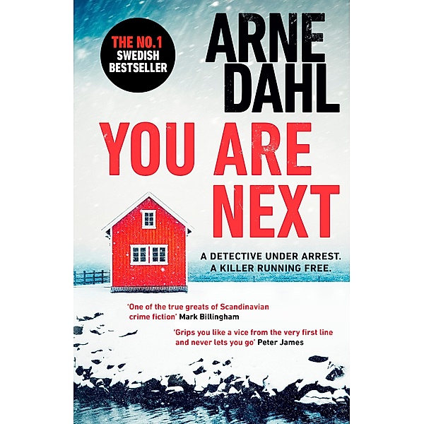 You Are Next / Sam Berger Series Bd.3, Arne Dahl