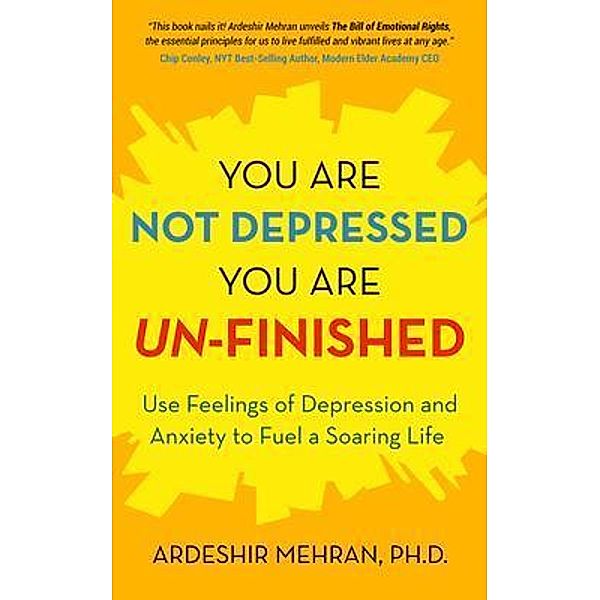 You Are Not Depressed.  You Are Un-Finished., Ardeshir Mehran