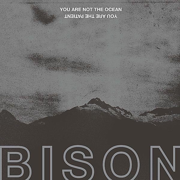 You Are Not The Ocean You Are The Patient, Bison