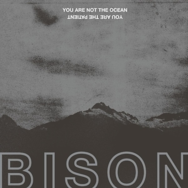 You Are Not The Ocean You Are The Patient (Vinyl), Bison