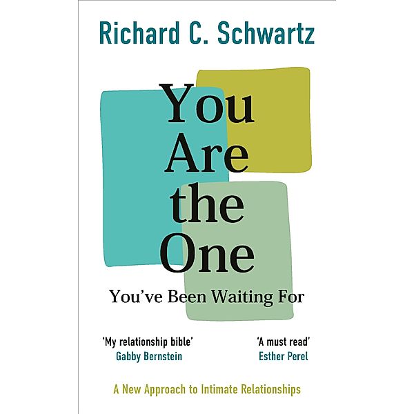 You Are the One You've Been Waiting For, Richard Schwartz