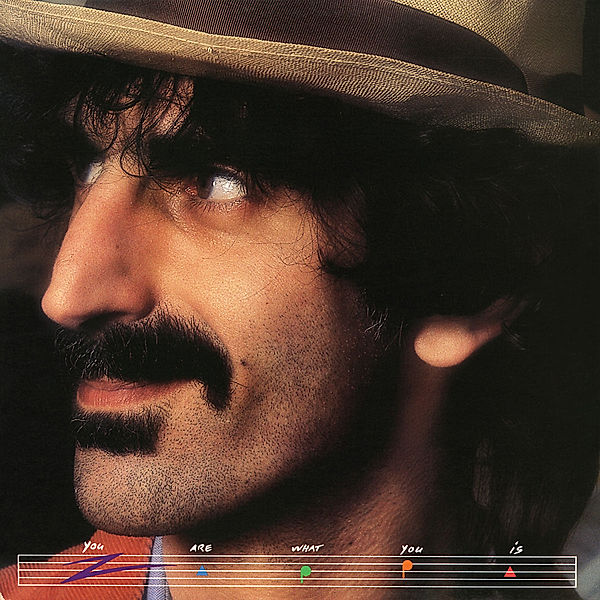 You Are What You Is, Frank Zappa