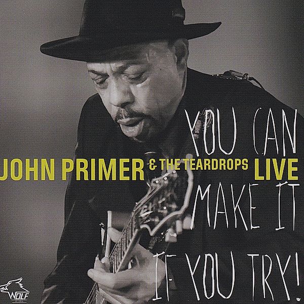 You Can Make It If You Try, John Primer & The Teardrops