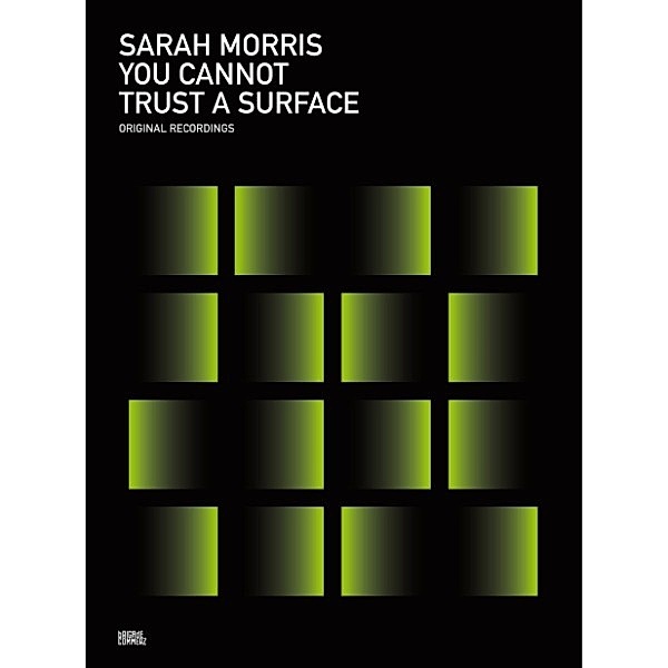 You Cannot Trust A Surface, Sarah Morris