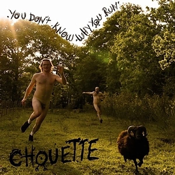 You Don'T Know Why You Run (Vinyl), Chouette