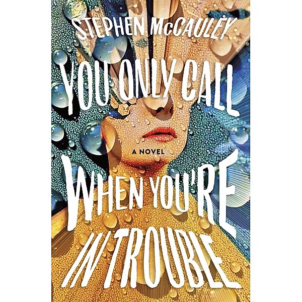You Only Call When You're in Trouble, Stephen McCauley