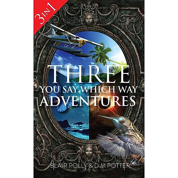 You Say Which Way: Three You Say Which Way Adventures, Blair Polly, D M Potter