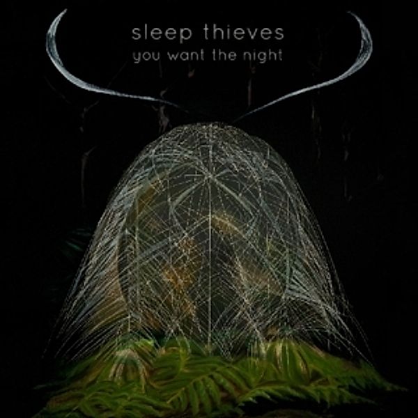 You Want The Night (Vinyl), Sleep Thieves