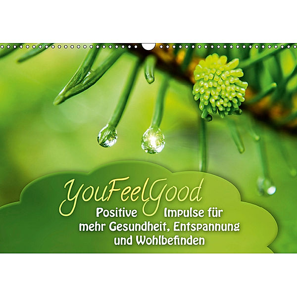 YouFeelGood - Positive Impulse f?r mehr Gesundheit, Entspannung und Wohlbefinden (Wandkalender 2019 DIN A3 quer), Gaby Shayana Hoffmann