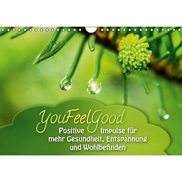 YouFeelGood - Positive Impulse für mehr Gesundheit, Entspannung und Wohlbefinden (Wandkalender 2015 DIN A4 quer), Gaby Shayana Hoffmann