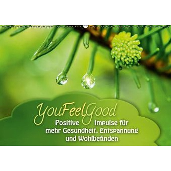 YouFeelGood - Positive Impulse für mehr Gesundheit, Entspannung und Wohlbefinden (Wandkalender 2015 DIN A2 quer), Gaby Shayana Hoffmann