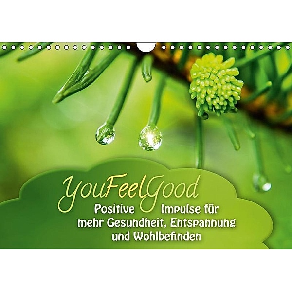 YouFeelGood - Positive Impulse für mehr Gesundheit, Entspannung und Wohlbefinden (Wandkalender 2017 DIN A4 quer), Gaby Shayana Hoffmann