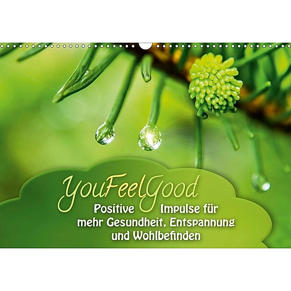 YouFeelGood - Positive Impulse für mehr Gesundheit, Entspannung und Wohlbefinden (Wandkalender 2020 DIN A3 quer), Gaby Shayana Hoffmann