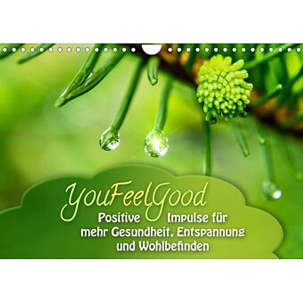 YouFeelGood - Positive Impulse für mehr Gesundheit, Entspannung und Wohlbefinden (Wandkalender 2022 DIN A4 quer), Gaby Shayana Hoffmann