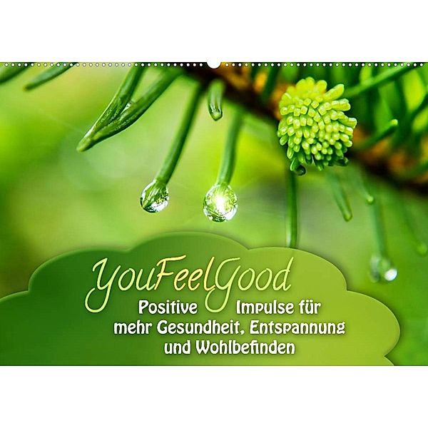 YouFeelGood - Positive Impulse für mehr Gesundheit, Entspannung und Wohlbefinden (Wandkalender 2023 DIN A2 quer), Gaby Shayana Hoffmann