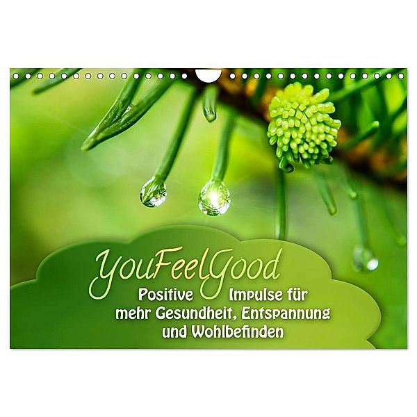 YouFeelGood - Positive Impulse für mehr Gesundheit, Entspannung und Wohlbefinden (Wandkalender 2024 DIN A4 quer), CALVENDO Monatskalender, Gaby Shayana Hoffmann