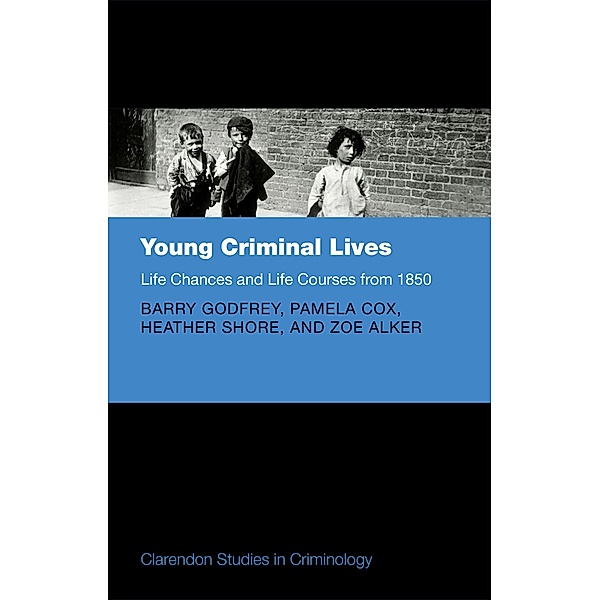 Young Criminal Lives: Life Courses and Life Chances from 1850 / Comparative Studies in Continental and Anglo-American Legal History, Barry Godfrey, Pamela Cox, Heather Shore, Zoe Alker