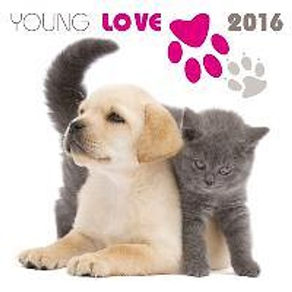 Young Love/ Kittens & Puppies 2016