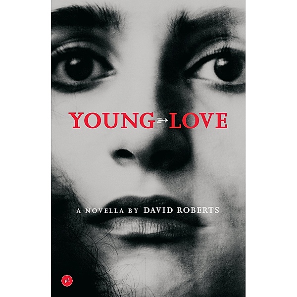 Young Love / Primer Fiction, David Roberts